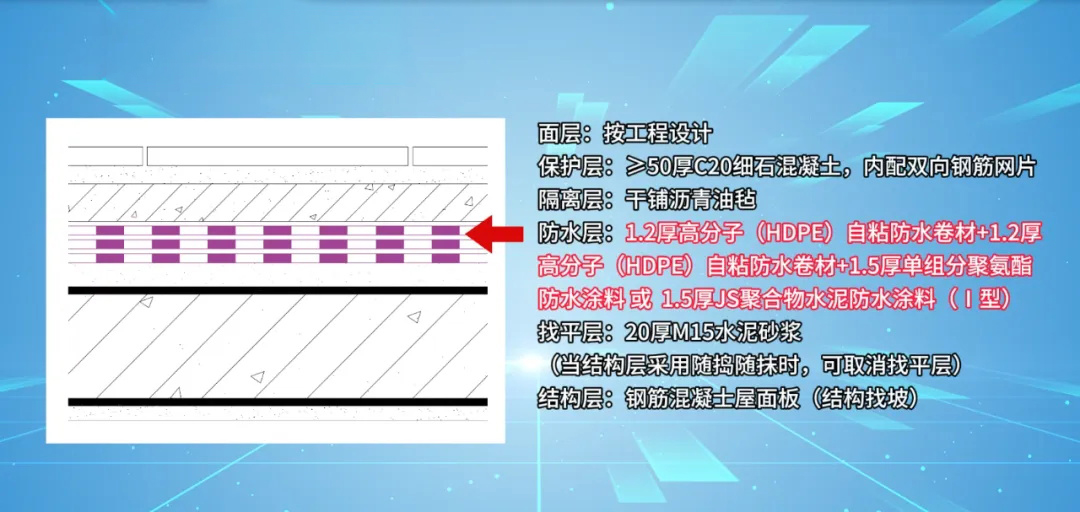 20241105154215463662.jpg 2_看圖王.jpg